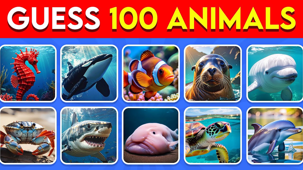 Guess 100 Sea Animals in 3 Seconds 🐬🦀  | EASY to IMPOSSIBLE