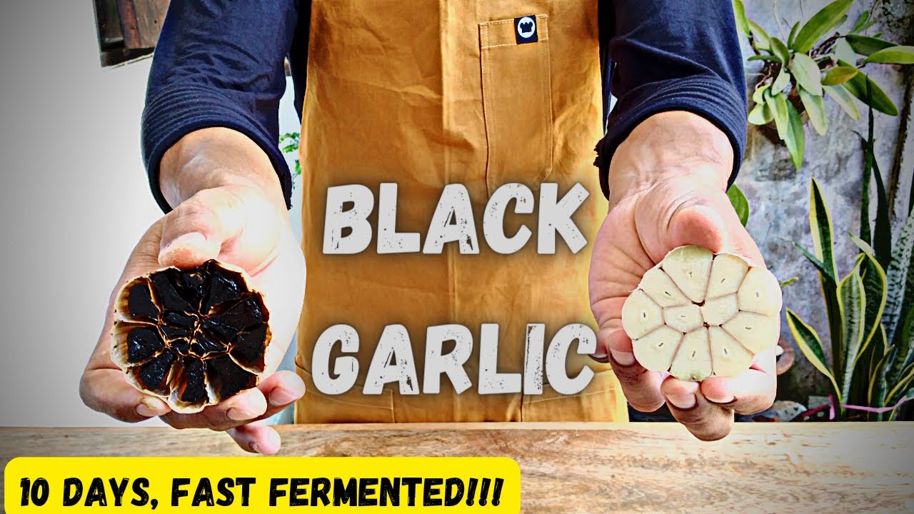 Fermented Black Garlic, Cara Membuat Bawang Hitam Sempurna, Method Fermentation black garlic 10 days