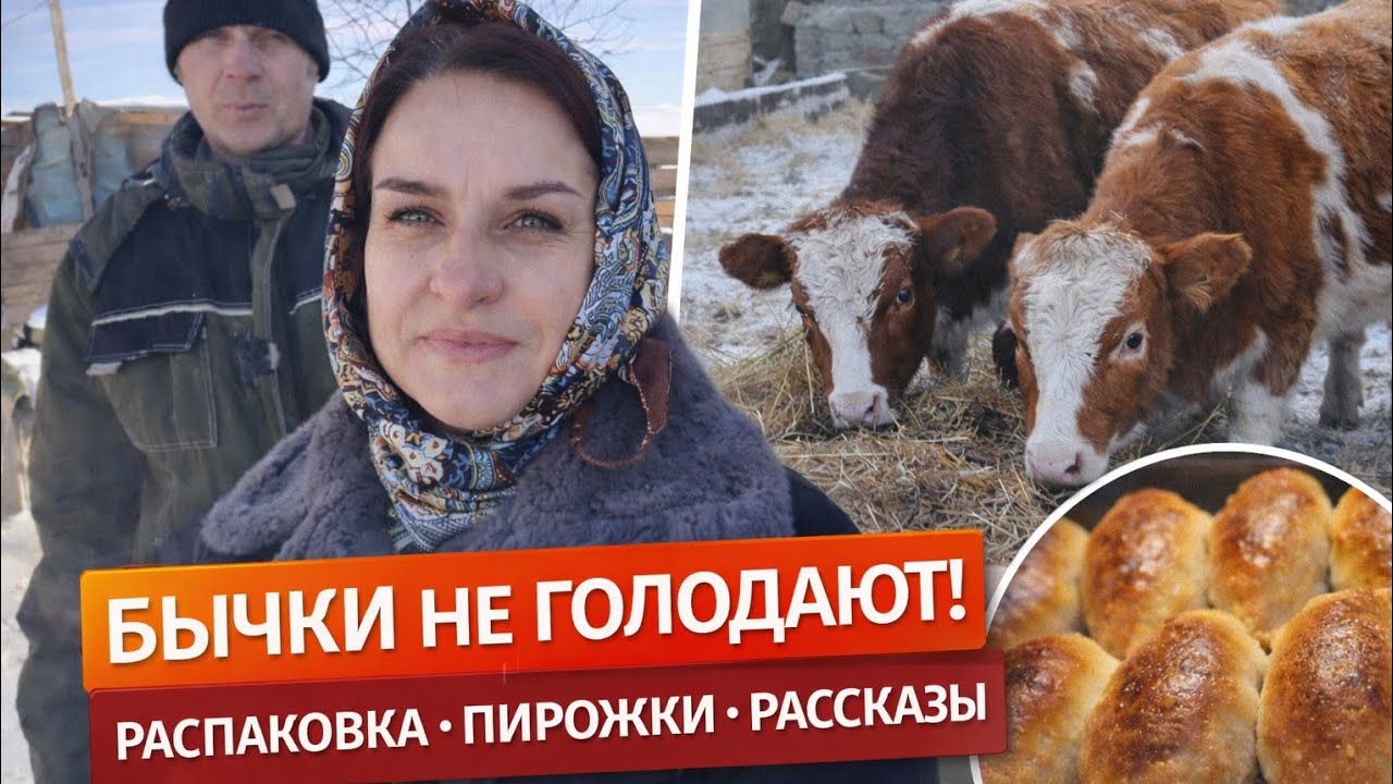 Казахстан 🇰🇿 Обычный день в деревне: покупки, пирожки и наши бычки. 