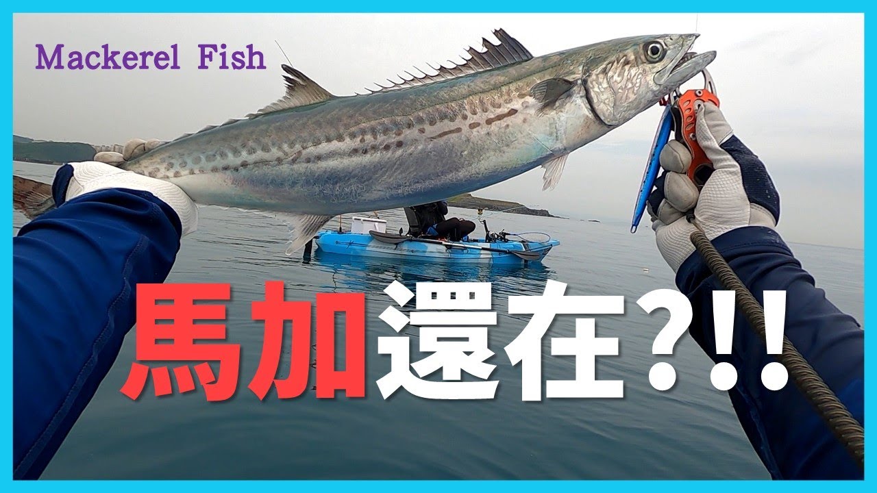 [SUP Fishing] 終於開胡馬加了! 望海巷SUP釣遊 I 대만 지롱 SUP 패들보드 지깅낚시