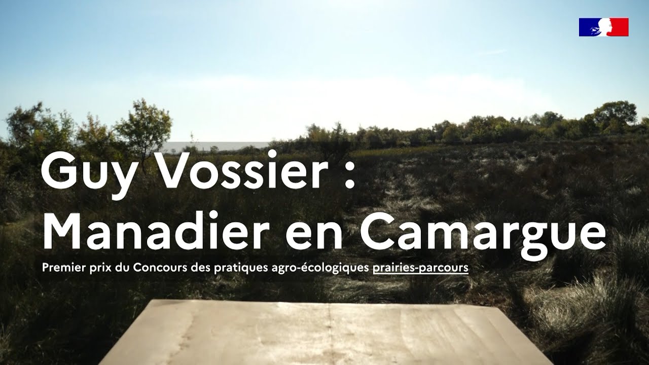 Guy Vossier : manadier en Camargue