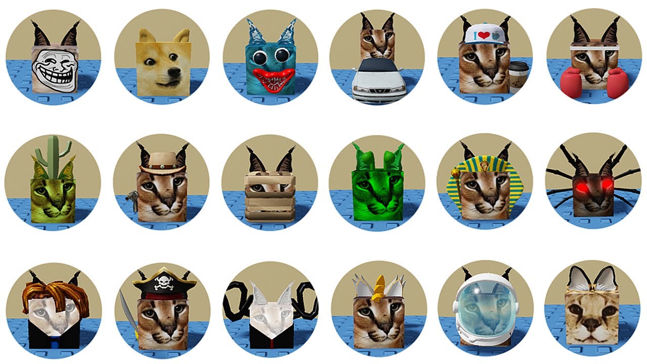 FIND the FLOPPA MORPHS *How to get ALL 21 NEW Floppa Morphs and Badges* DESERT MAP! Roblox