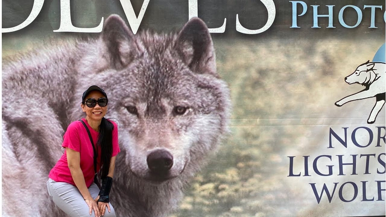 WILDLIFE WOLF CENTRE PART 1l Braz Eustaquio