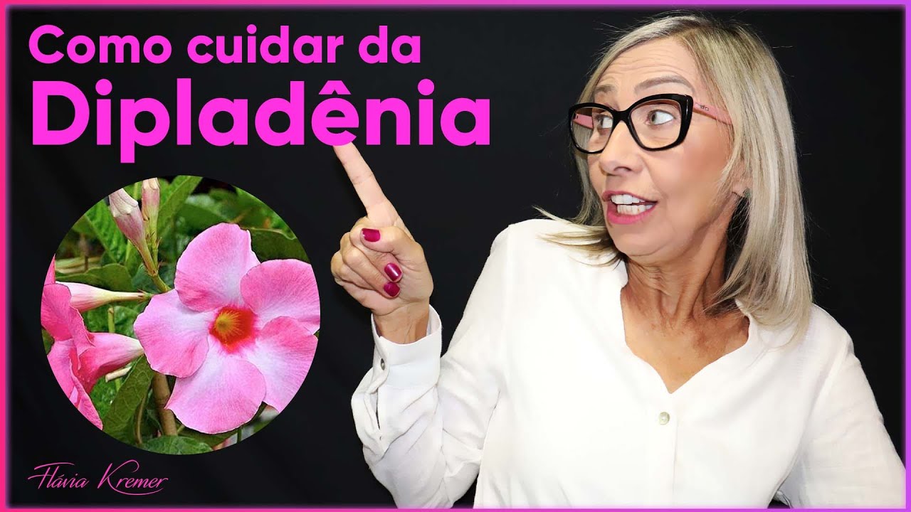 Como cuidar da planta Dipladênia | Flávia Kremer