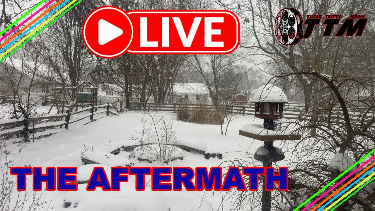 WINTER STORM EVERYTHING SHUT DOWN
