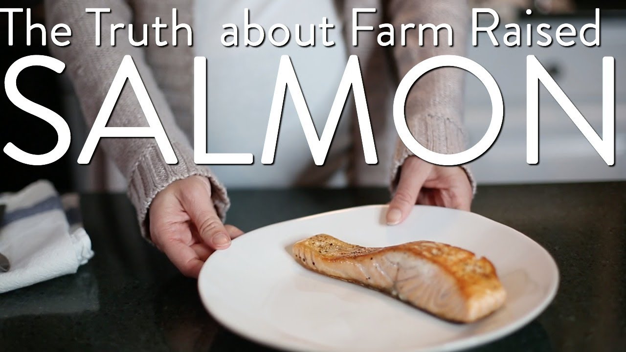 What You Don't Know About Scottish Salmon