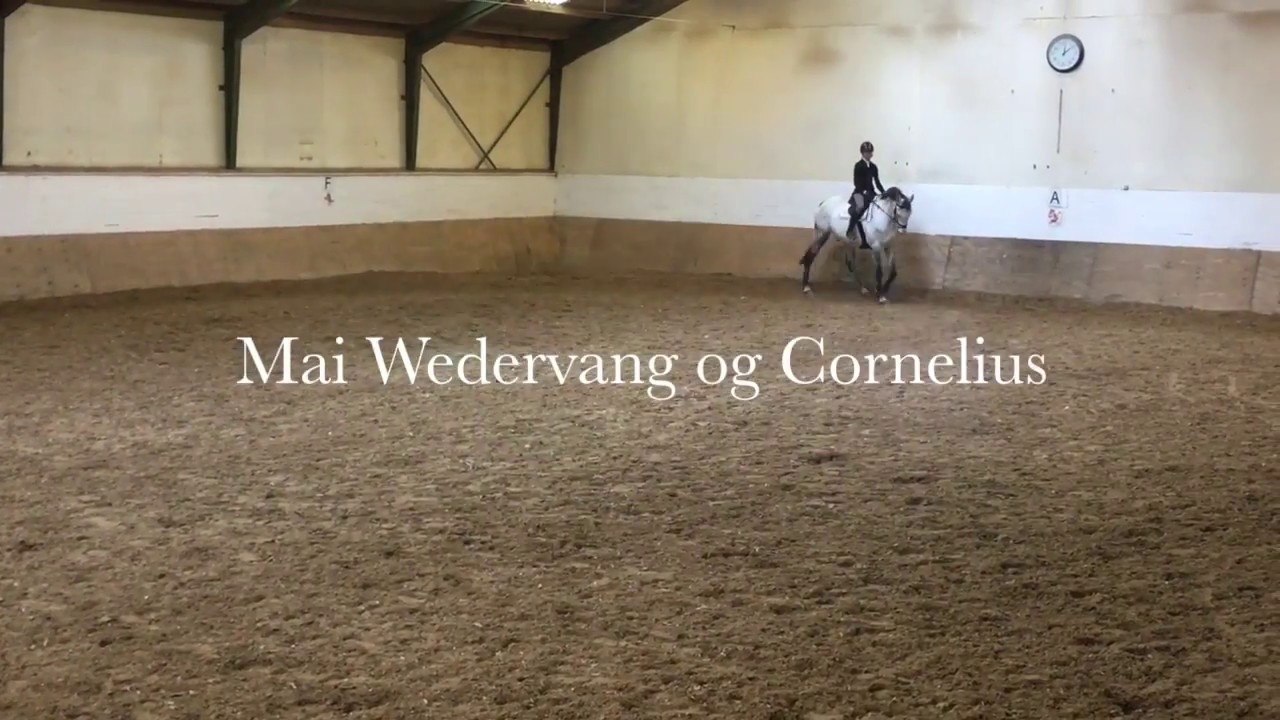 Dressurstævne på Cornelius - LD1