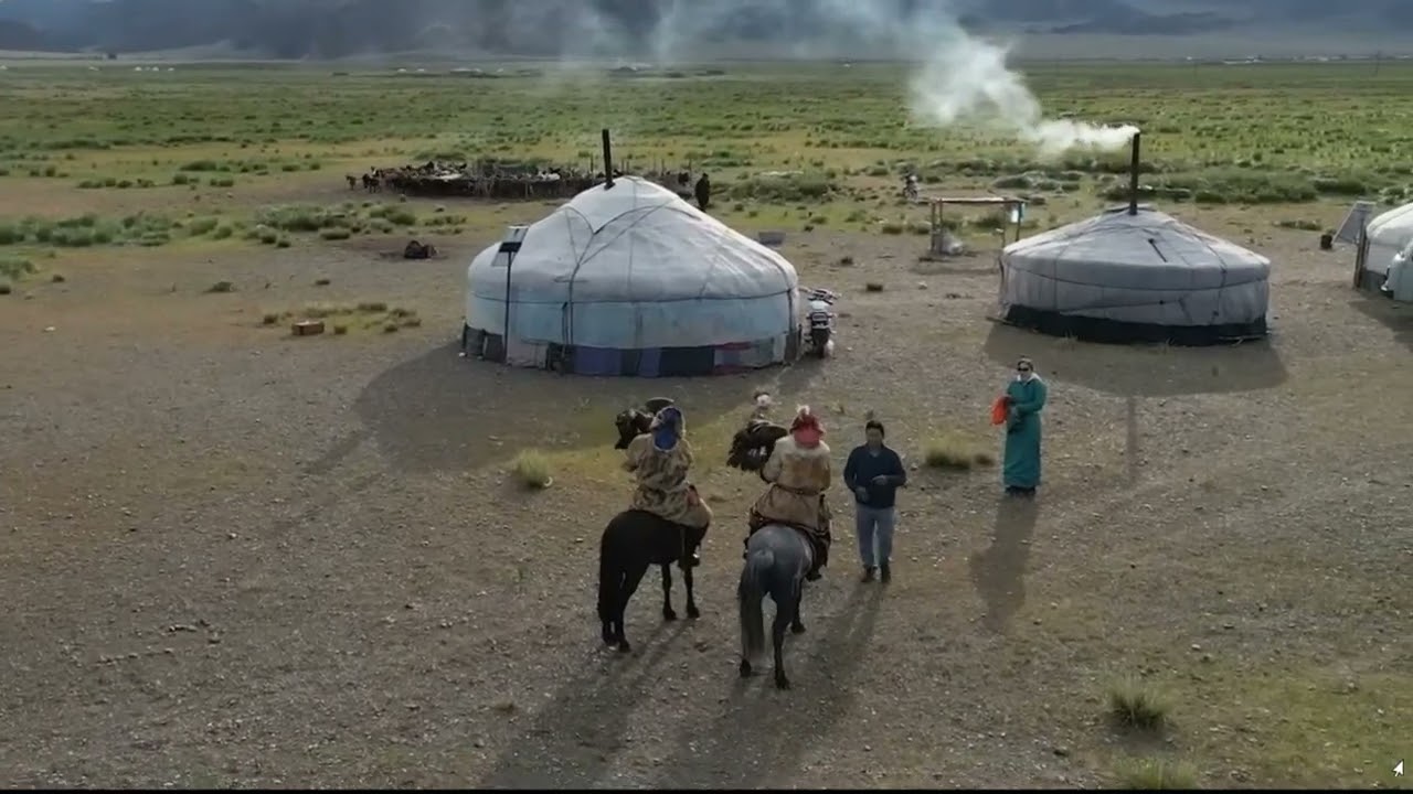 Монгольская дембельская (Андрей Донецкий)