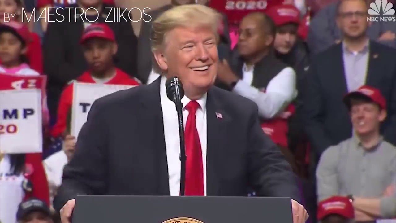 Taylor Swift   ME! Cover by Donald Trump