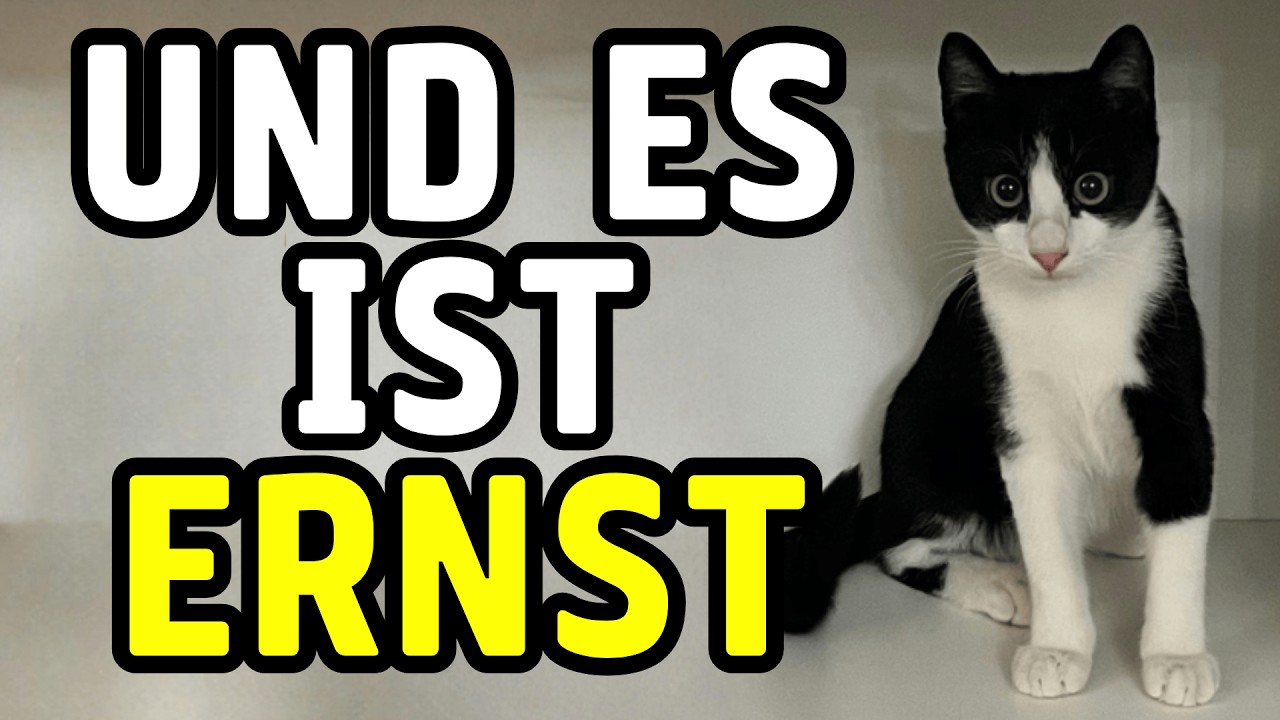 100 Kuriositäten über Katzen, die Sie noch nicht kannten