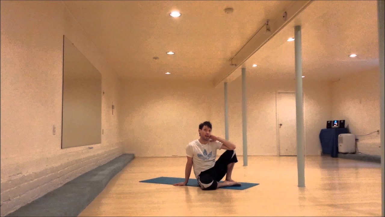 Monkey conditioning basics