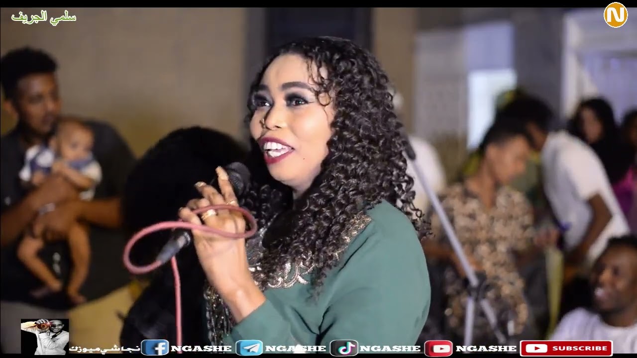 ||جديد سلمي الجريف|| موسي باسطه ||صلاح شرق النيل الطيب الجقر|| كلام صغار ما علينا 🤫|| New 2023||