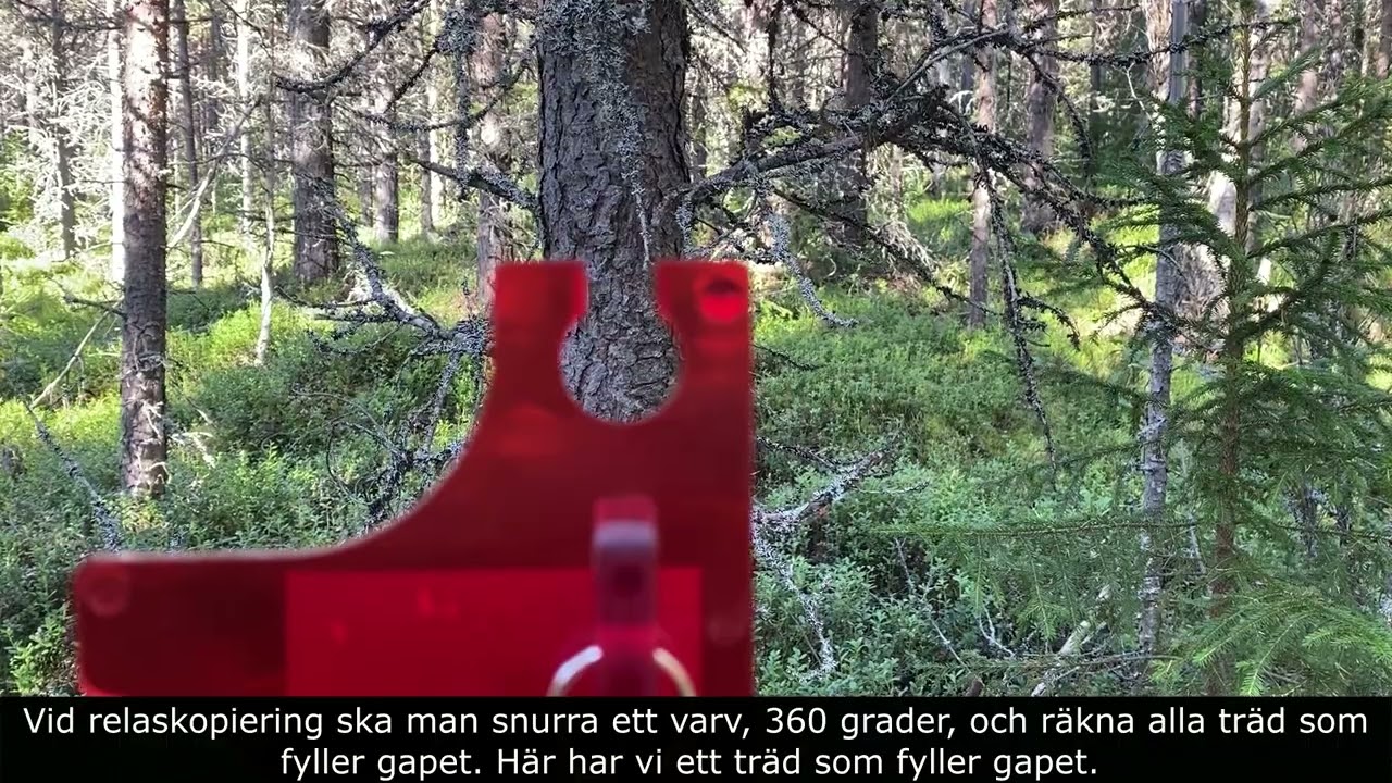 Utbildningsfilmer om skogsbruk: Stamantal per hektar och grundyta