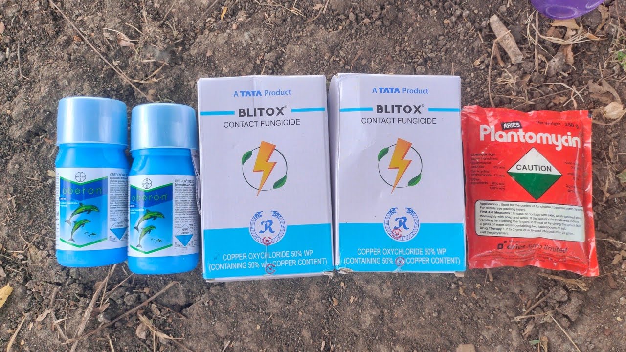 BAYER OBERON INSECTICIDE | WHITE FLY& MITES బొబ్బెర ముడత, జెమిని వైరస్ కి no 1 గా పనిచేసే మందు