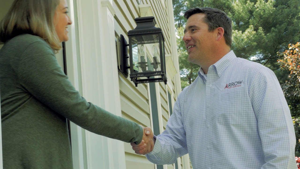 How To Prevent Termites Around Your New Jersey Home
