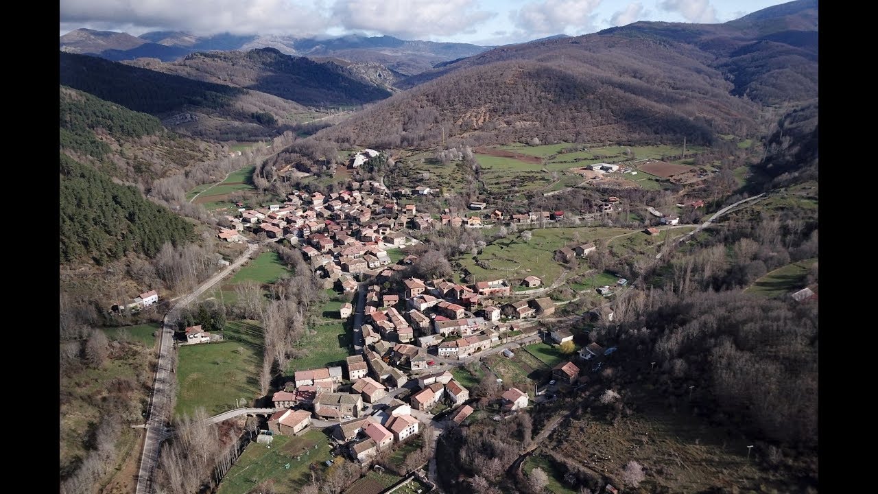 Morgovejo