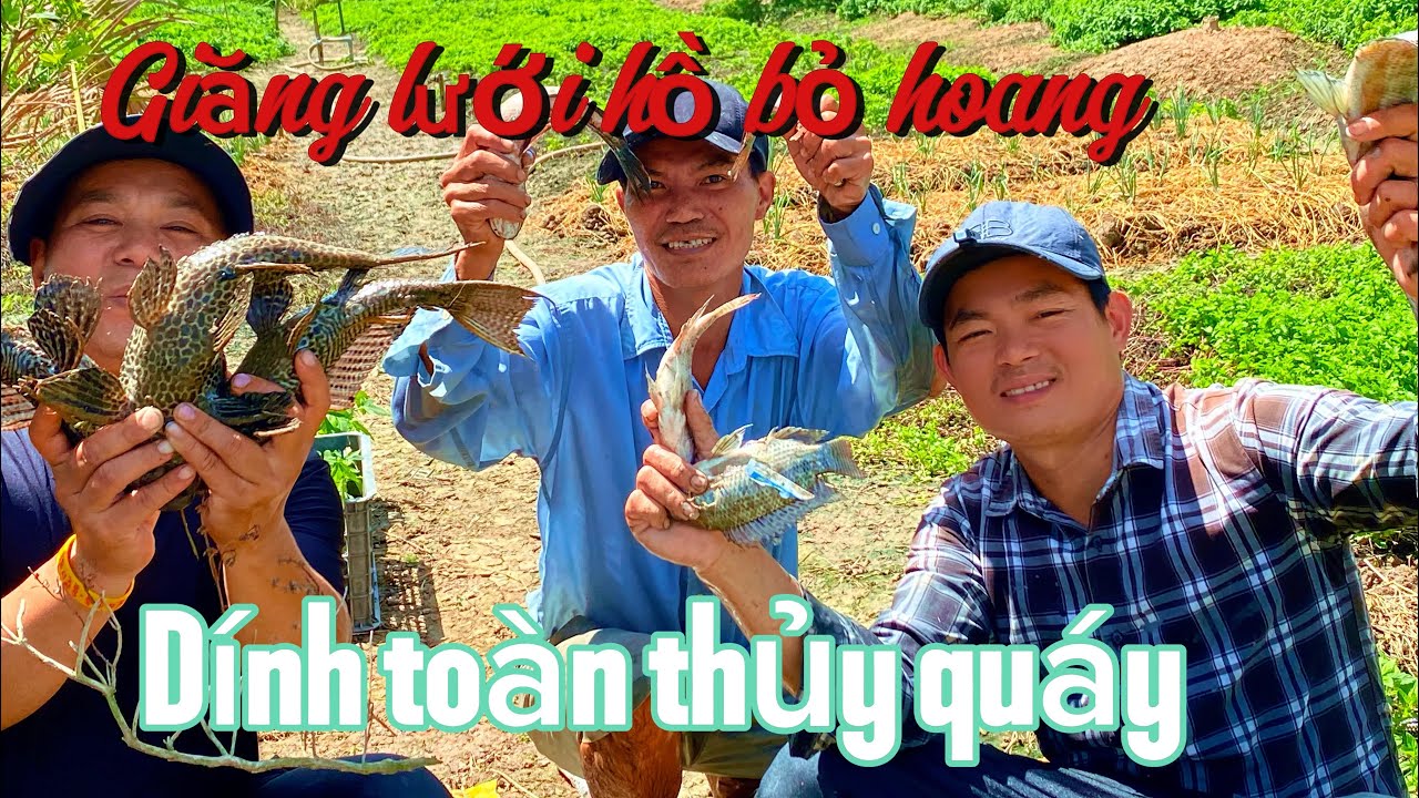 Giăng Lưới Hồ Bỏ Hoang Dính Toàn Thủy Quái 