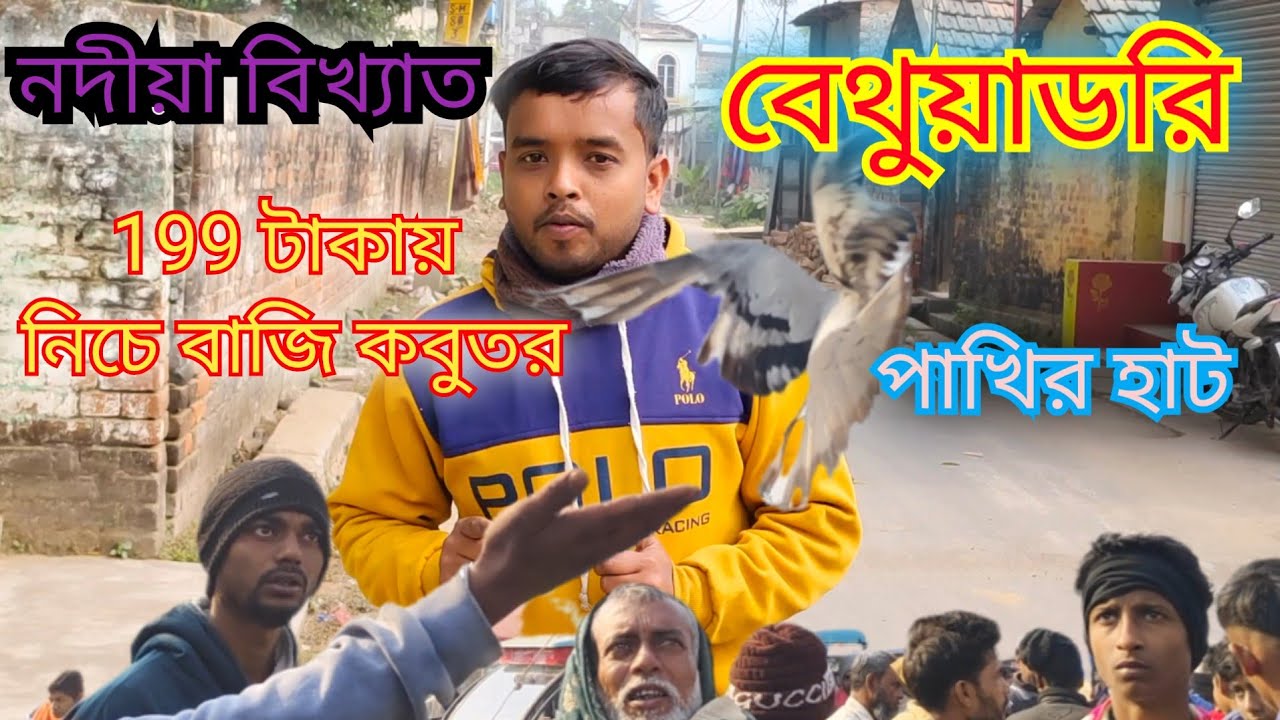 বেথুয়া ডরি কবুতর হাট। 200 টাকায় নিচে বাজি কবুতর। বিখ্যাত কবুতর হাট 