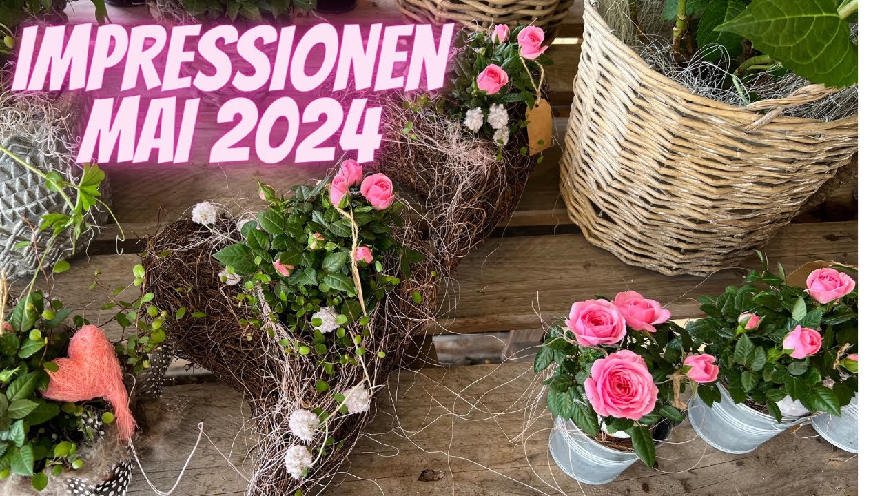 Impressionen aus dem Blumenladen vom Blumenmann -Ladenrundgang anfangs Mai 2024 - kurz vor Muttertag