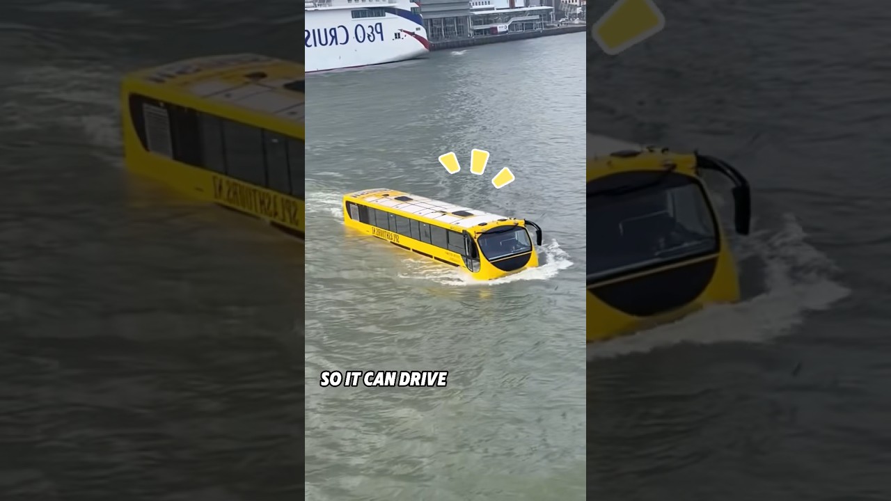 Bus driver drives the bus into the river