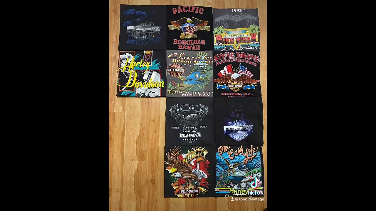 HARLEY LOT VIDEO
