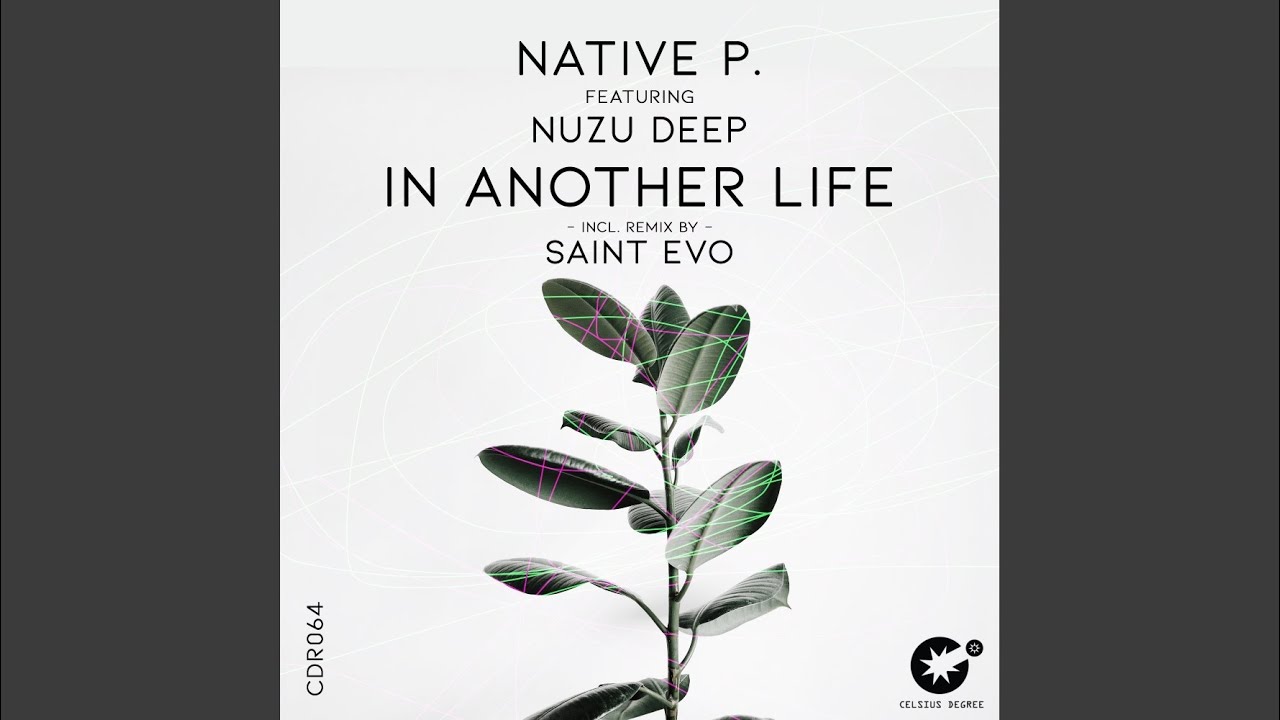 In Another Life (Saint Evo Remix)