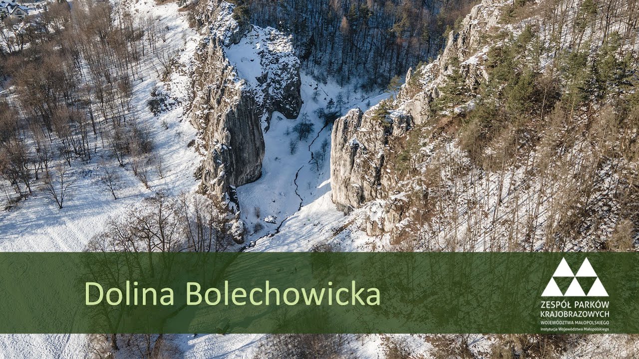 Zimowa Dolina Bolechowicka