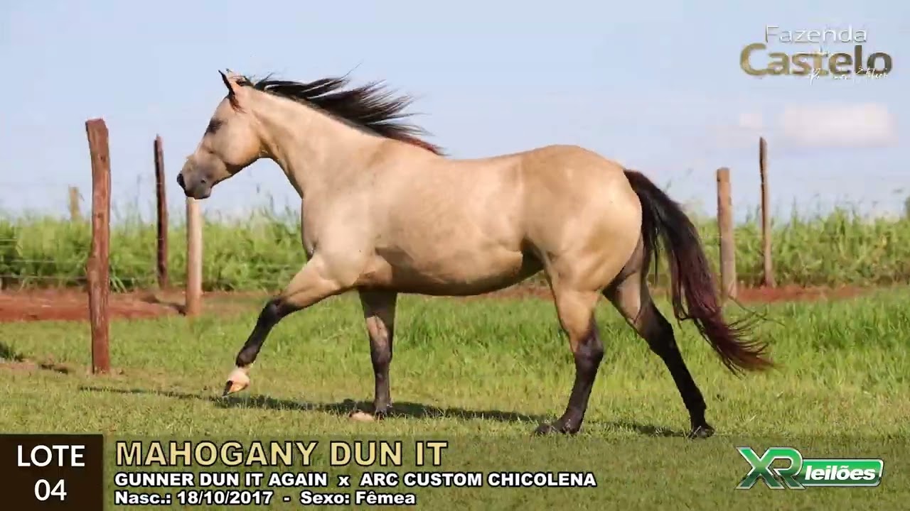 04   MAHOGANY DUN IT