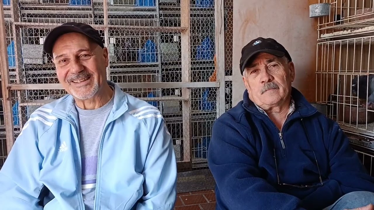 PALOMAR DE ROBERTO PILATO Y HÉCTOR PEDREIRA , CRIADORES DE PIKES , VIVENCIAS ARGENTINAS
