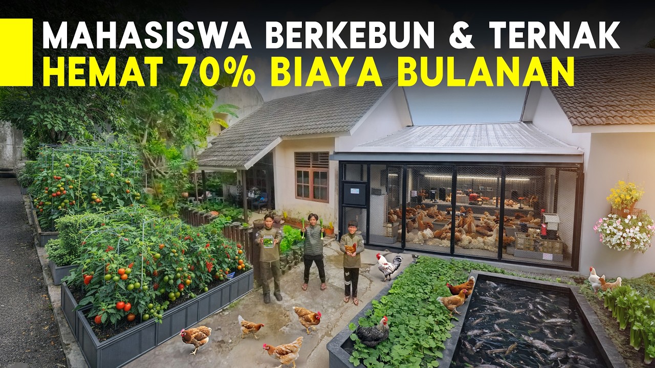 BERKEBUN DAN TERNAK DI KONTRAKAN MAHASISWA HEMAT UANG BULANAN HINGGA 70%