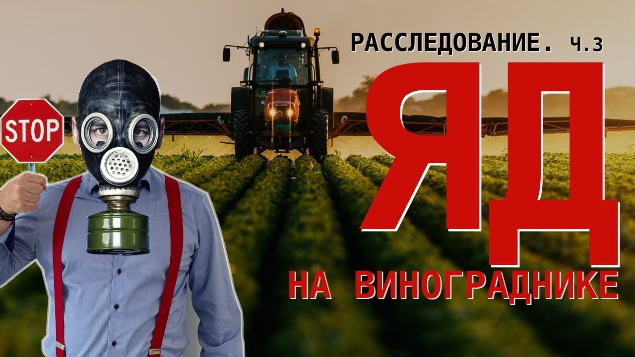Расследование [ЯД НА ВИНОГРАДНИКЕ]