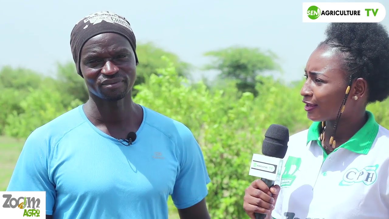 ZooMAgro saison 2 n°10 : conseils & astuces en culture d'agrume et de citron avec Ferdinand Coly.
