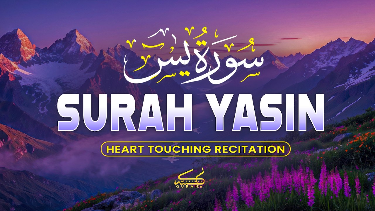 Surah Yaseen سورة يس | Soothing & Calming Lofi Quran to Soothe the Soul & Ease the Heart by Alaa Aql