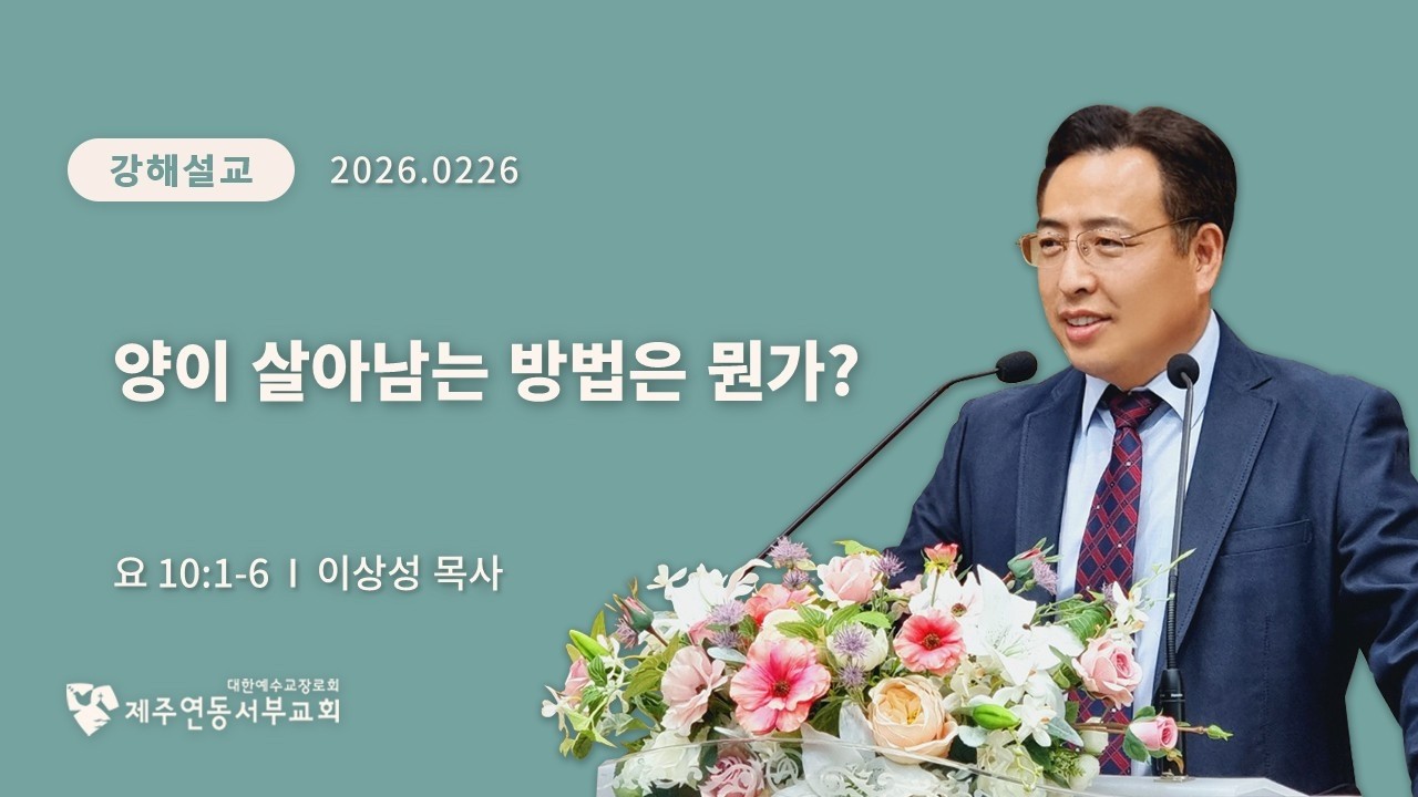 양이 살아남는 방법은 뭔가? (요 10:1-6)  | 제주연동서부교회 | 이상성목사 (20260226)