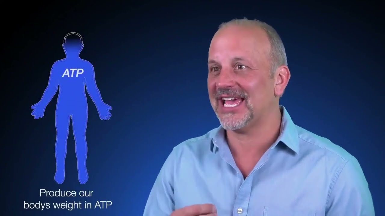 What are redox signaling molecules