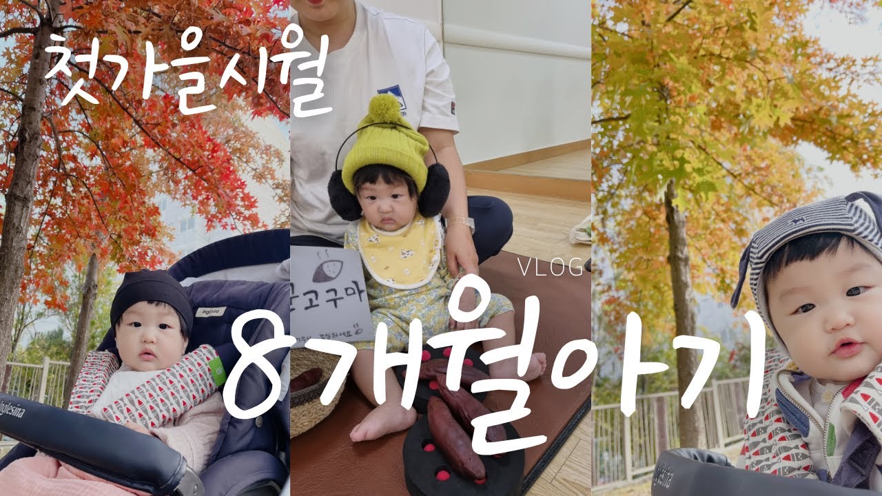 [8개월아기Vlog](2)문센,가을산책,이유식먹방