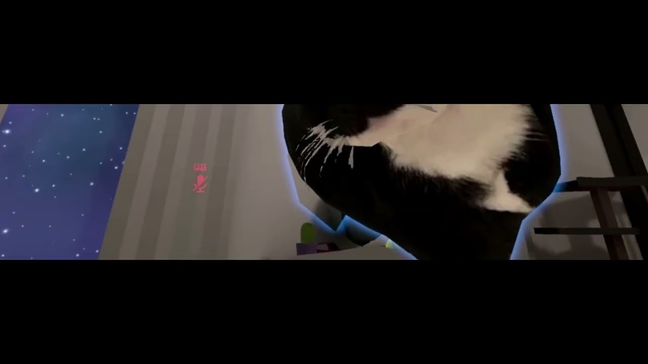 Skitterz Opens Up a little to a stranger