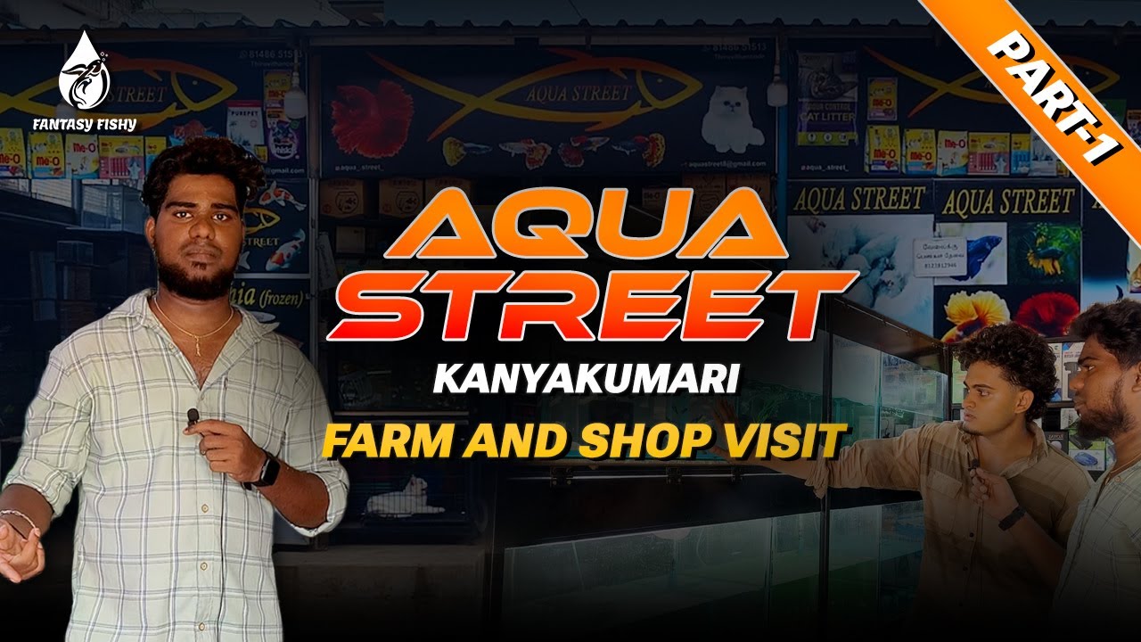KANYAKUMARI'S BEST PET SHOP AQUA STREET SHOP TOUR PART-1| தமிழில் | #kanyakumari   #nagercoil