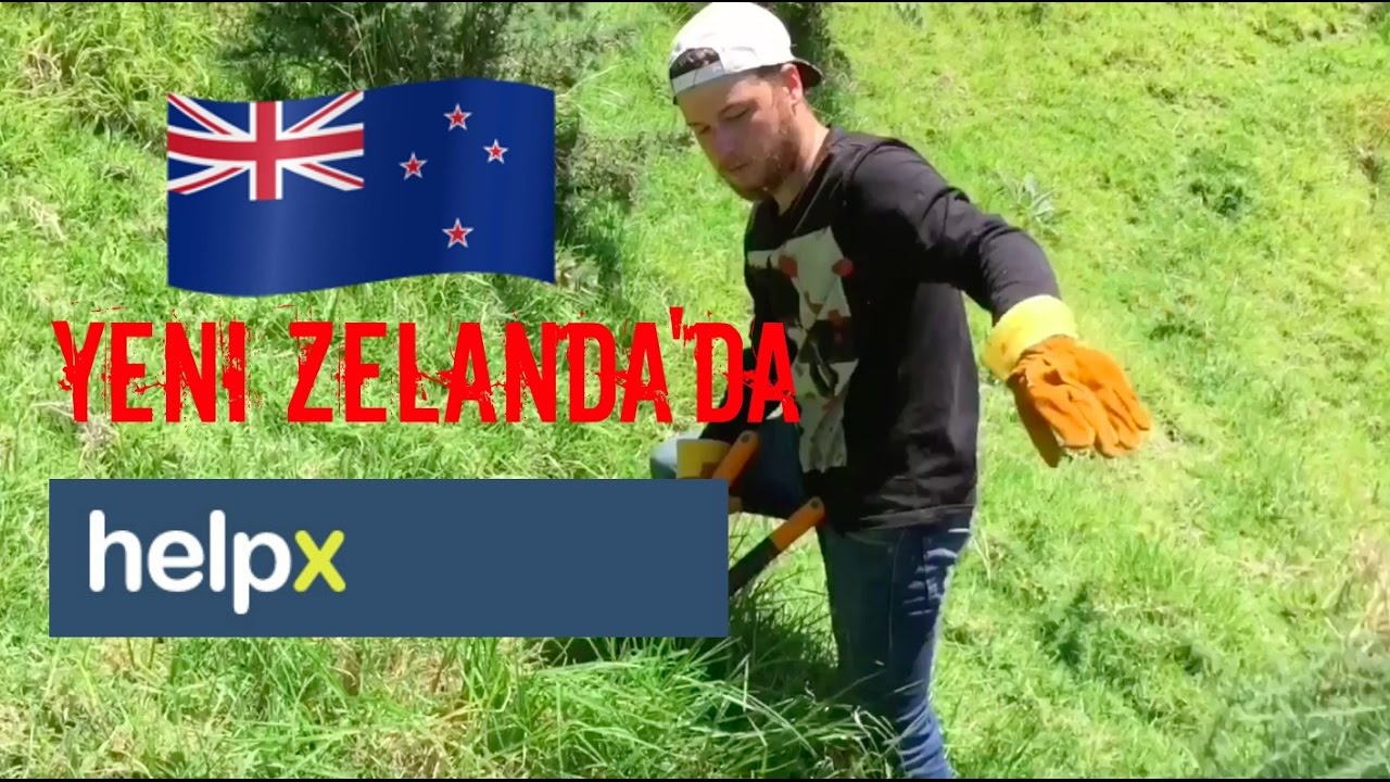 Yeni Zelanda'da HelpX Vlog #4
