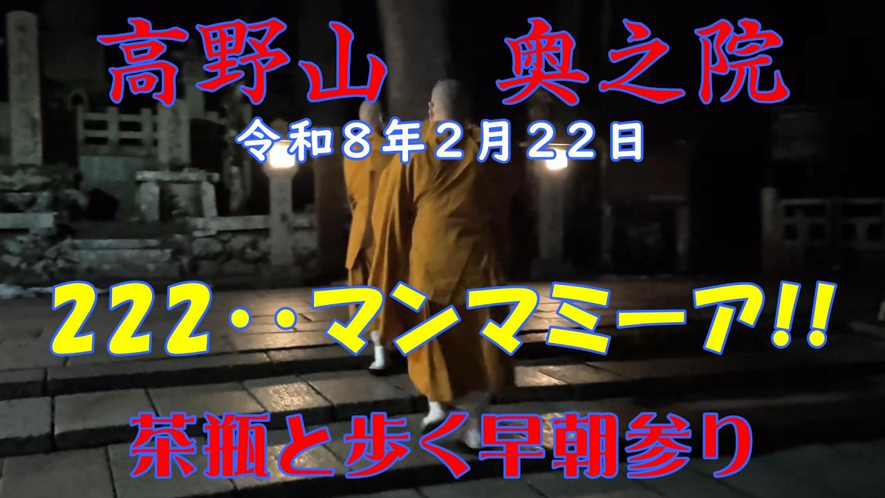 【密教の聖地】　高野山　奥之院　令和8年2月22日　小鳥のさえずりを聴く　茶瓶と歩く早朝参り