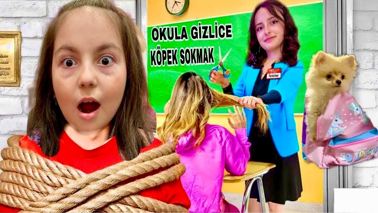 EYVAH‼️SOKAKTA KÖPEK BULDUK GİZLİCE OKULA SOKTUK‼️ZEYNEP HİRANUR 