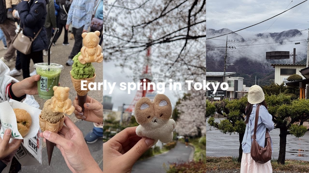 Travel Diaries | EP 10 ⋆ Early Spring in Tokyo (4 days in Shibuya, Mt. Fuji, Disney Sea, Asakusa)