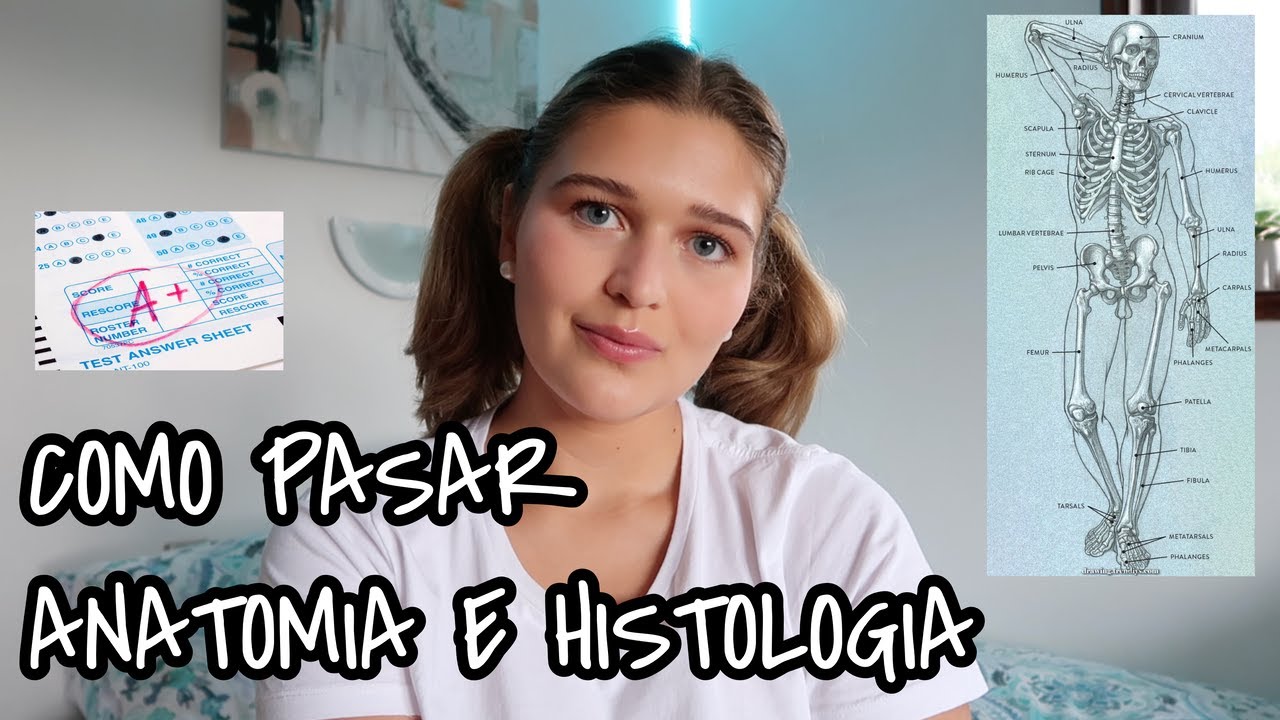 Como pasar ANATOMIA e HISTOLOGIA | Consejos para aprobar anatomía 💯👩🏼‍⚕️