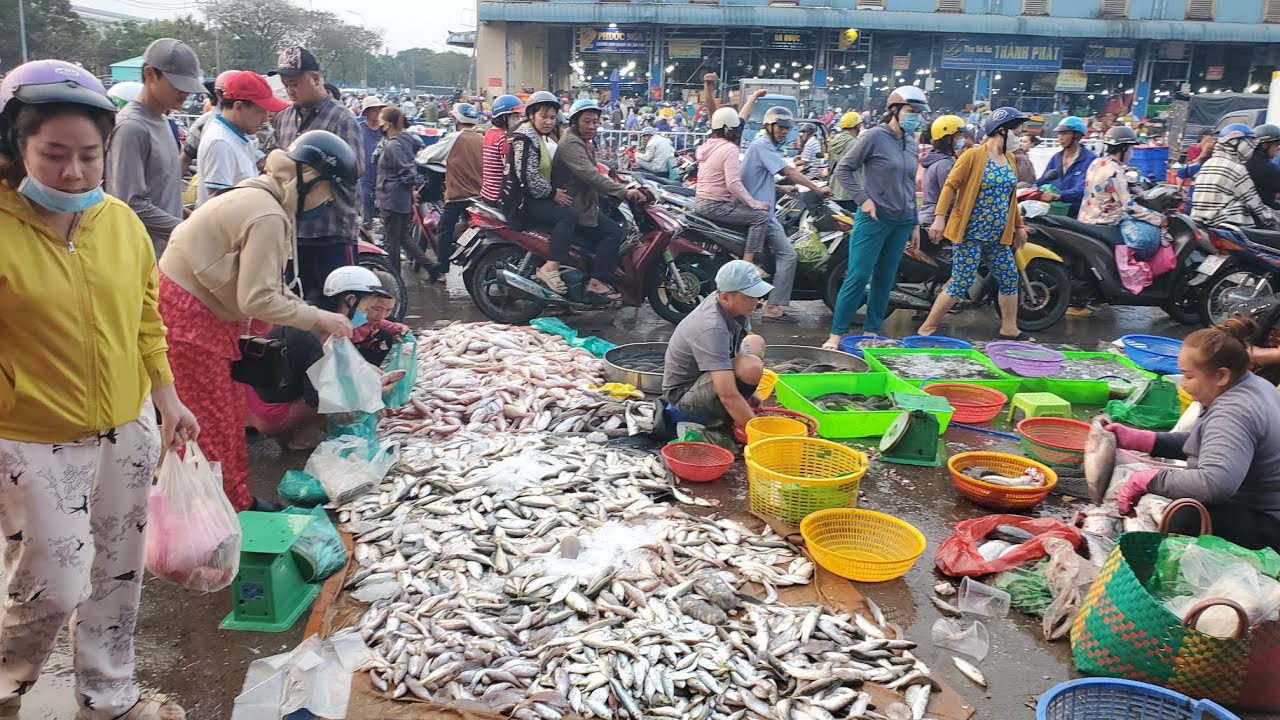 Chợ đầu mối bình điền sáng thứ hai cá chép vàng 20k cá phi 25k tôm càng 120k 