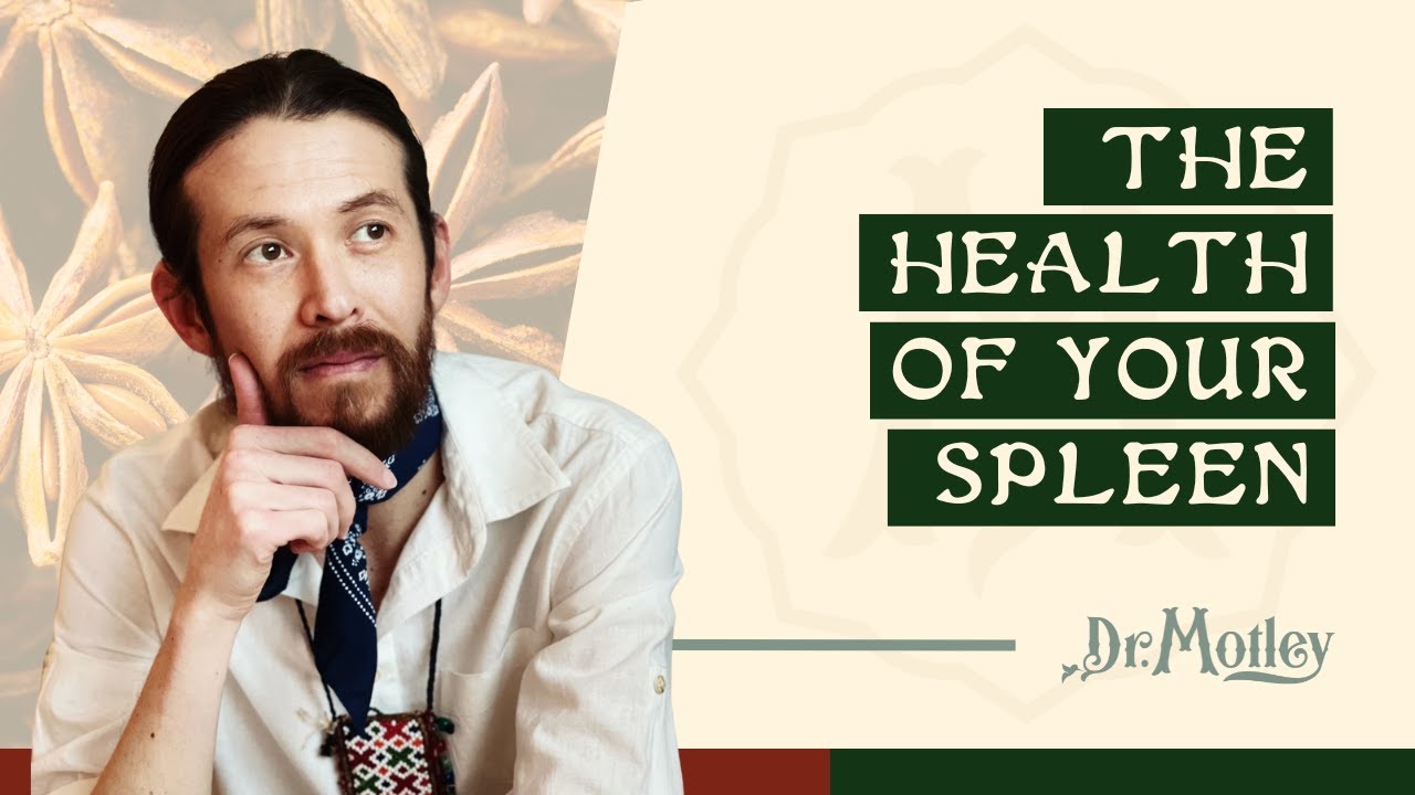 The Health of Your Spleen