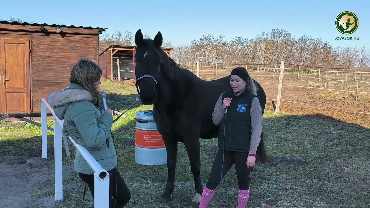 Így válassz tápot a Lovadnak! - interjú Csonka Zsófiával