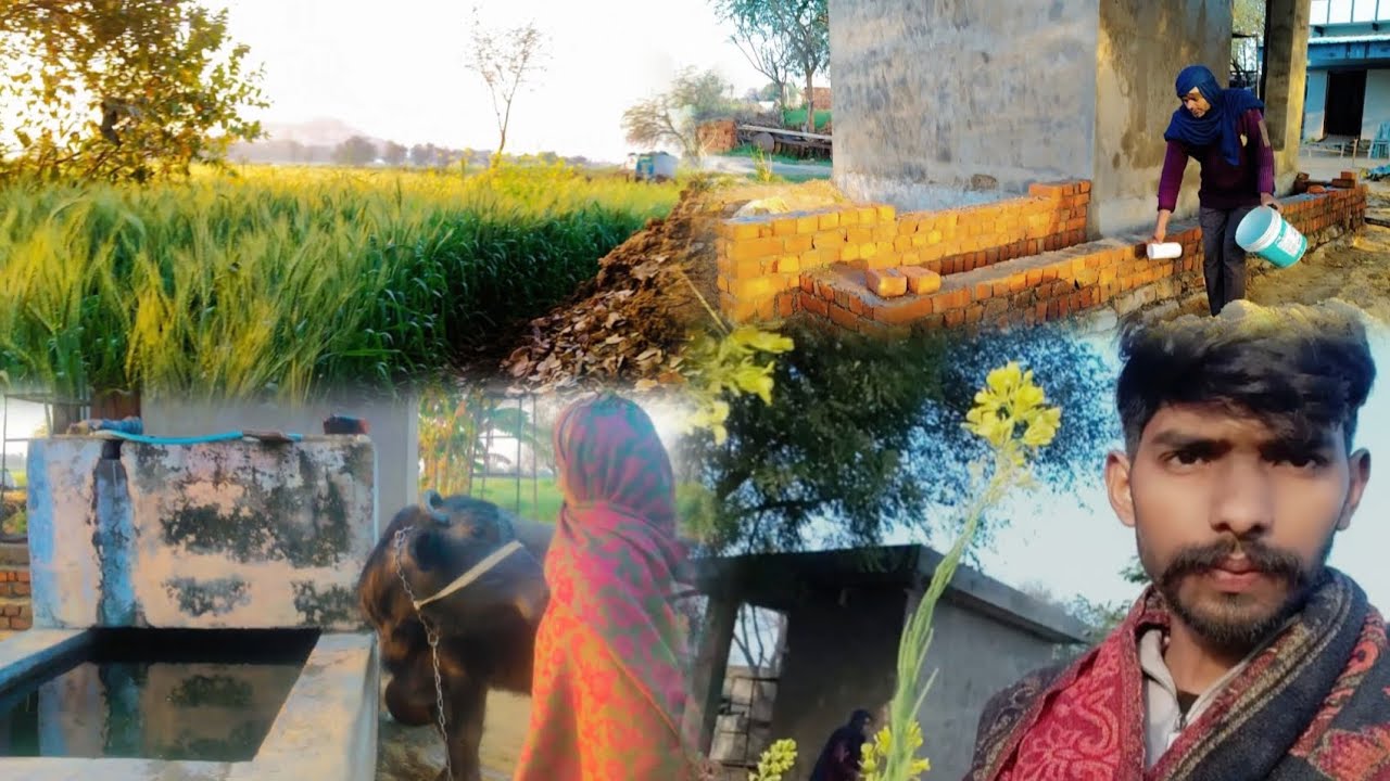 नंबरदार ने अपने ही खाने में मिट्टी डाल ली।