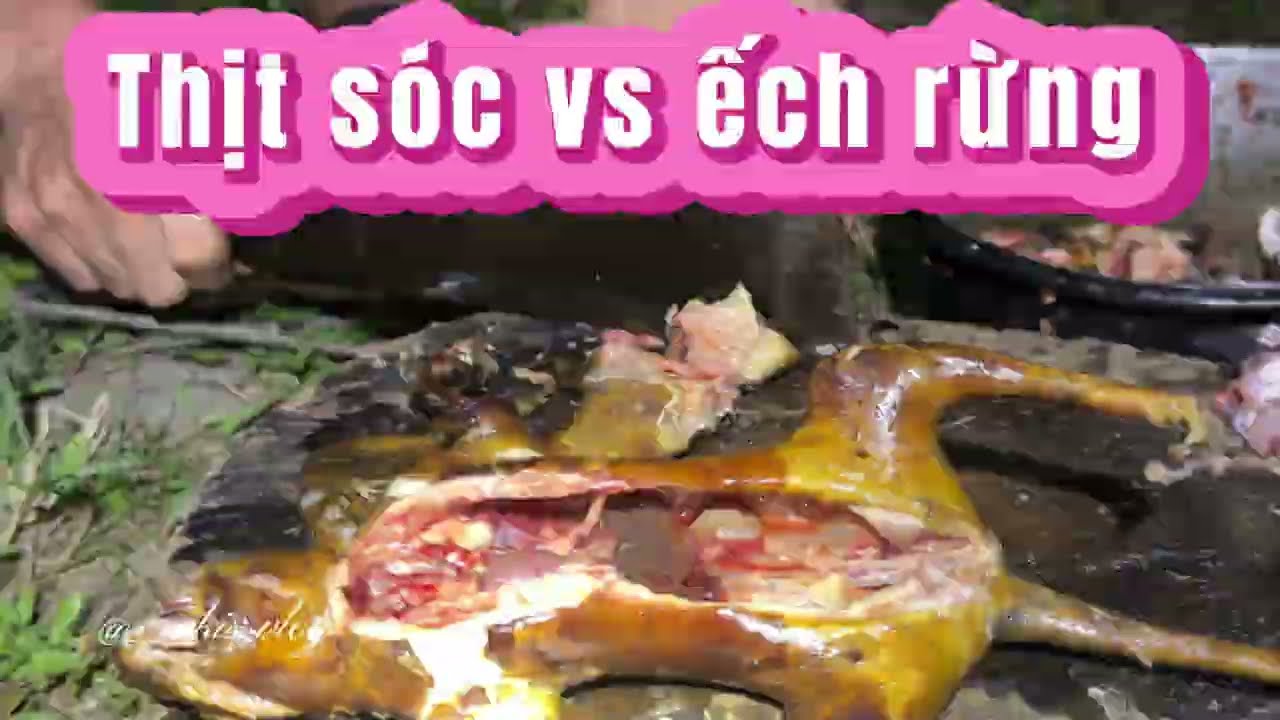 Sinh tôn nơi rừng sâu # 5 ( thợ rừng xứ nghệ)