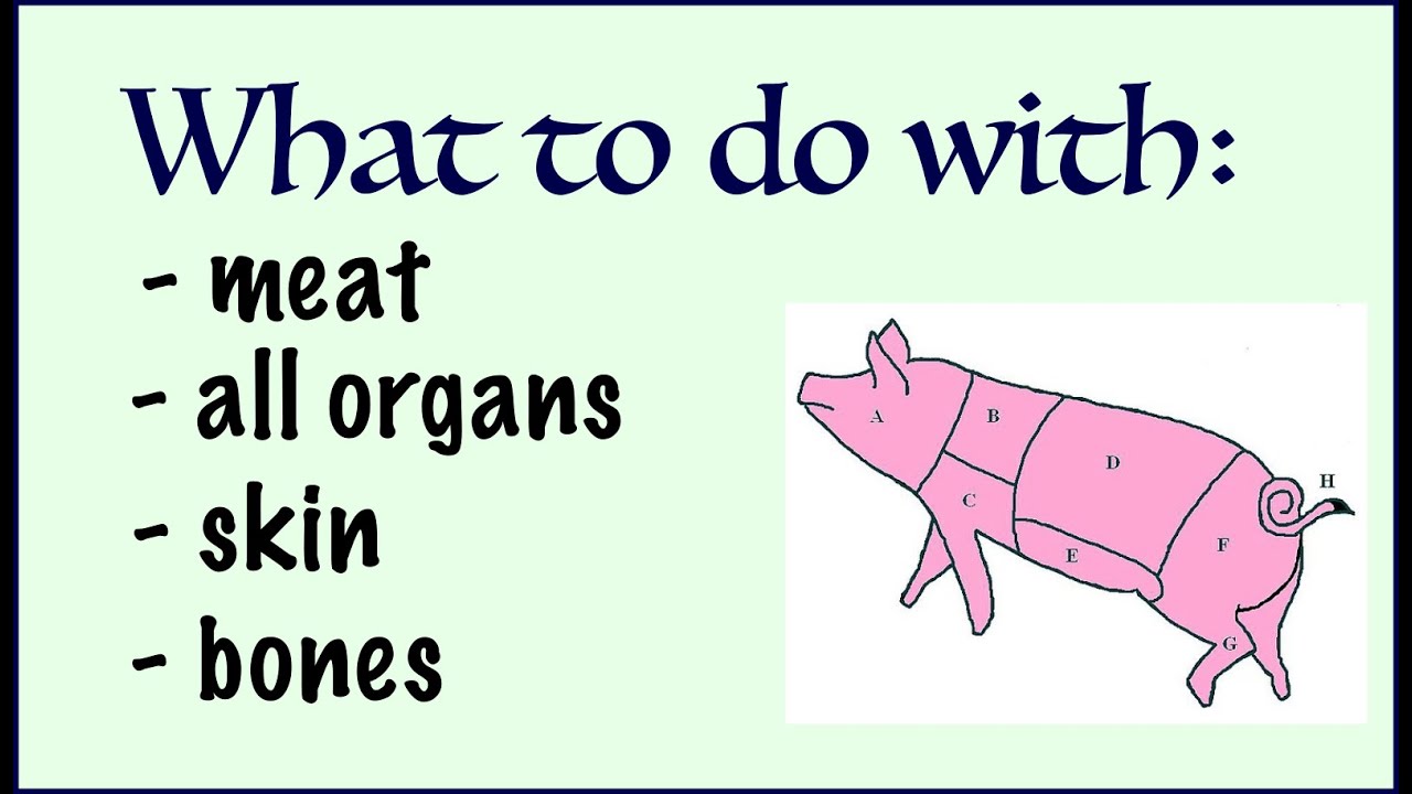 Using the whole animal [culinary worldbuilding]