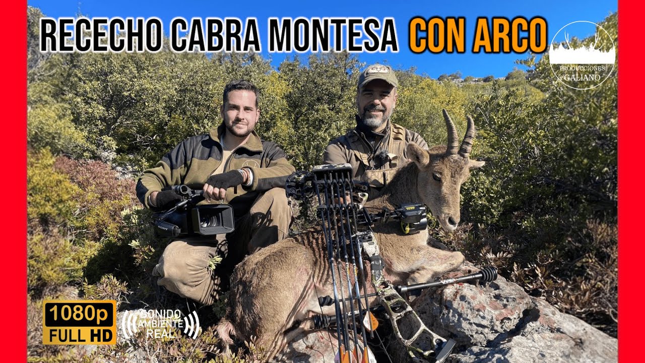 RECECHO DE CABRA MONTESA CON ARCO | BIGHUNTINGSPAIN